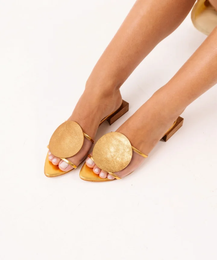 Tamanco Feminino em Couro e Salto Madeira Cerchio